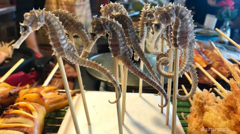 can you eat seahorse