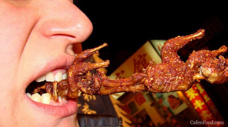 seahorse food