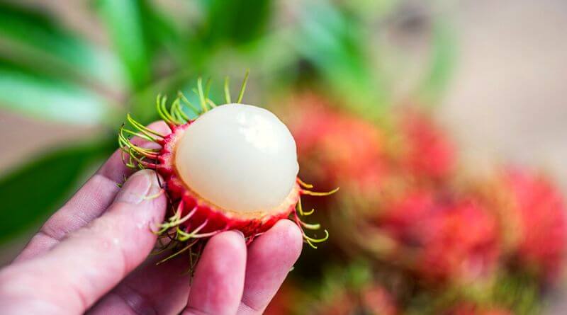 What is a rambutan