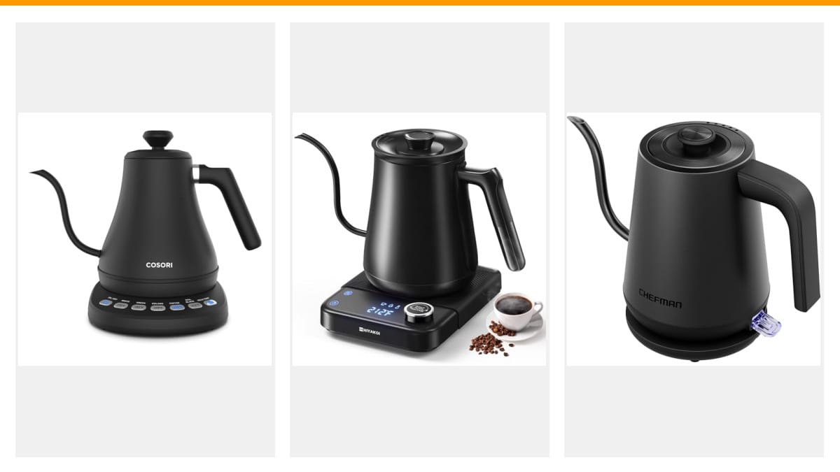 electric gooseneck kettle reviews